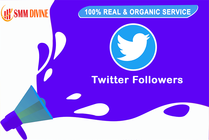 buy-non-drop-twitter-followers